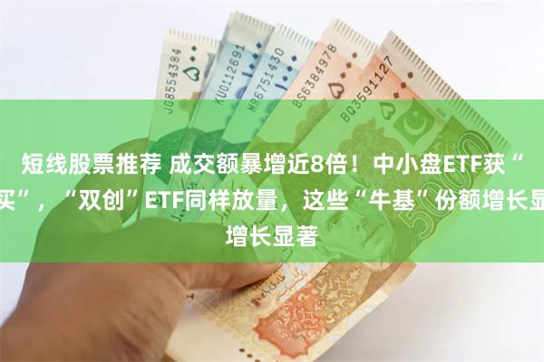 短线股票推荐 成交额暴增近8倍！中小盘ETF获“爆买”，“双创”ETF同样放量，这些“牛基”份额增长显著