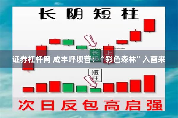 证券杠杆网 咸丰坪坝营：“彩色森林”入画来