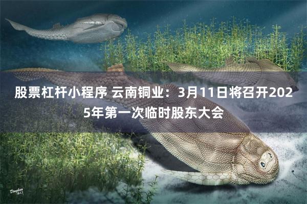 股票杠杆小程序 云南铜业：3月11日将召开2025年第一次临时股东大会