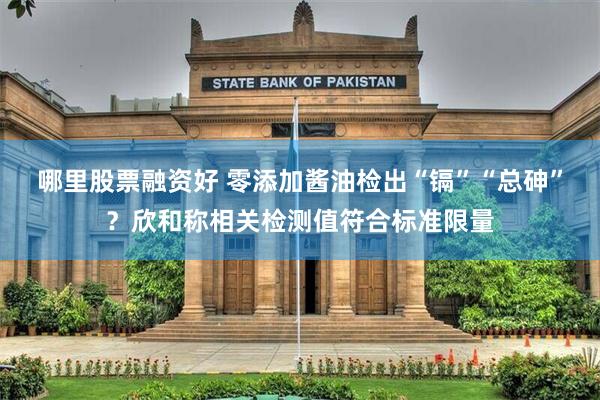 哪里股票融资好 零添加酱油检出“镉”“总砷”？欣和称相关检测值符合标准限量