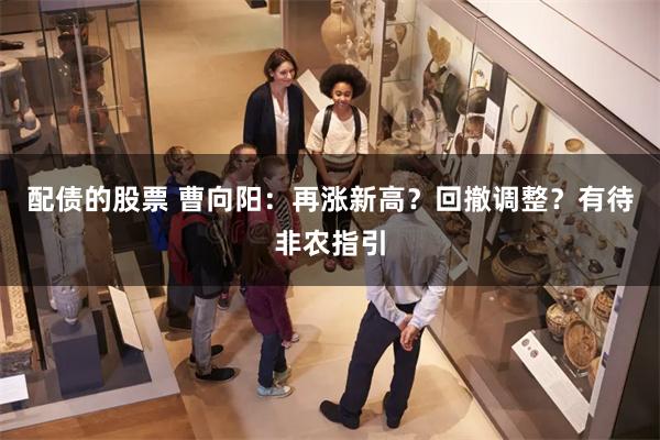 配债的股票 曹向阳：再涨新高？回撤调整？有待非农指引