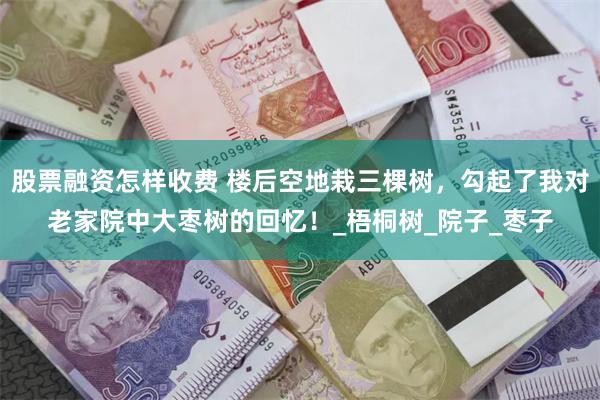 股票融资怎样收费 楼后空地栽三棵树，勾起了我对老家院中大枣树的回忆！_梧桐树_院子_枣子