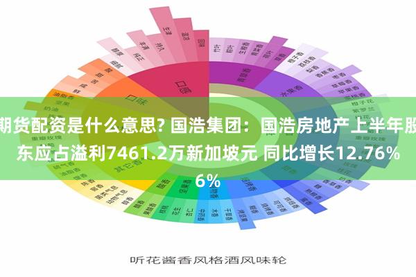 期货配资是什么意思? 国浩集团：国浩房地产上半年股东应占溢利7461.2万新加坡元 同比增长12.76%