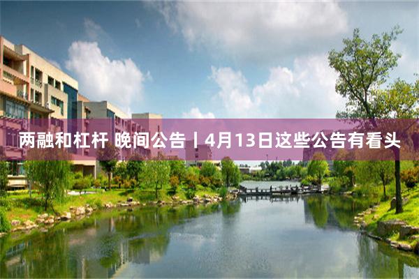 两融和杠杆 晚间公告丨4月13日这些公告有看头