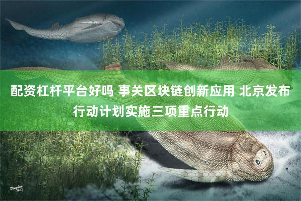 配资杠杆平台好吗 事关区块链创新应用 北京发布行动计划实施三项重点行动