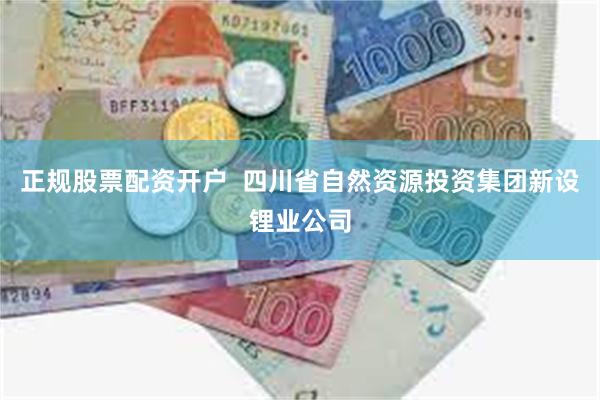正规股票配资开户  四川省自然资源投资集团新设锂业公司