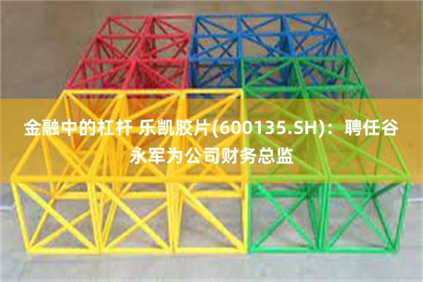 金融中的杠杆 乐凯胶片(600135.SH)：聘任谷永军为公司财务总监