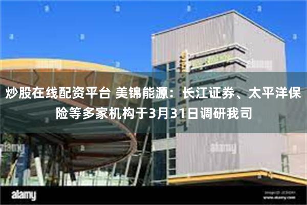 炒股在线配资平台 美锦能源：长江证券、太平洋保险等多家机构于3月31日调研我司