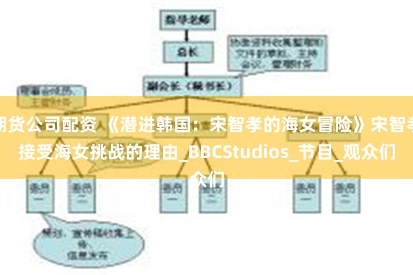 期货公司配资 《潜进韩国：宋智孝的海女冒险》宋智孝接受海女挑战的理由_BBCStudios_节目_观众们