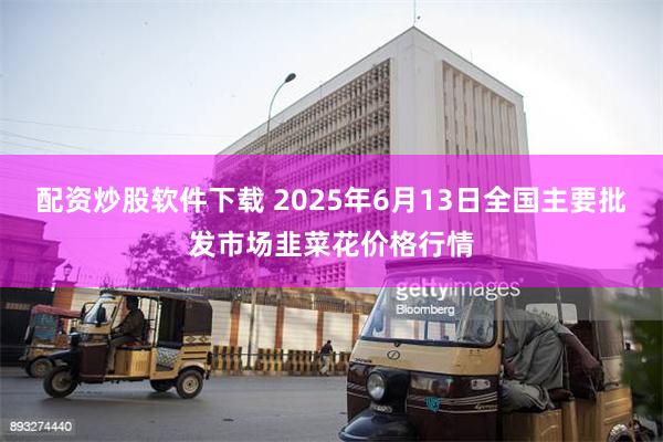 配资炒股软件下载 2025年6月13日全国主要批发市场韭菜花价格行情