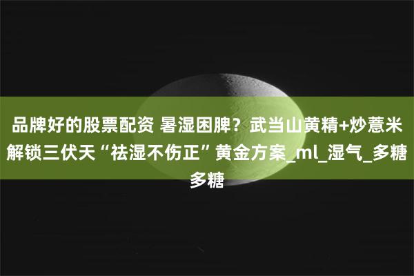 品牌好的股票配资 暑湿困脾？武当山黄精+炒薏米解锁三伏天“祛湿不伤正”黄金方案_ml_湿气_多糖