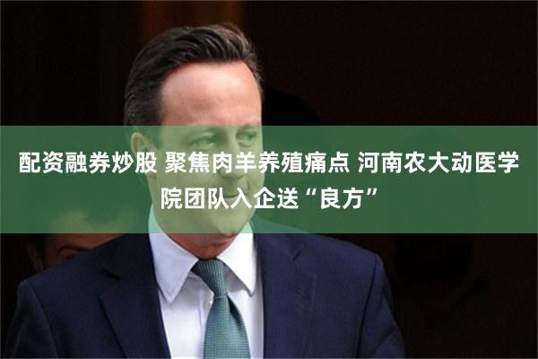 配资融券炒股 聚焦肉羊养殖痛点 河南农大动医学院团队入企送“良方”