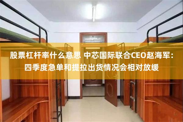 股票杠杆率什么意思 中芯国际联合CEO赵海军：四季度急单和提拉出货情况会相对放缓
